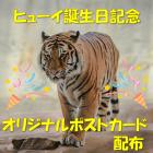 動物情報館ZooLab「ヒューイ誕生日記念！ポストカード配布！」
