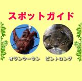 2014年7月20日(日)のスポットガイド