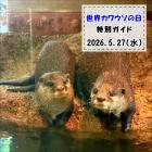 「世界カワウソの日」特別ガイドを開催します