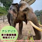 アジアゾウ「夜の動植物園」特別ガイドを開催します