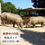 「世界サイの日」特別ガイドを開催します
