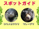 2014年6月29日(日)のスポットガイド