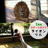 1月8日はライオンとツル