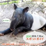 2016年7月10日(日)のスポットガイド