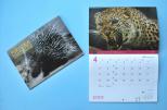 2012年動物カレンダーを販売しています