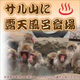 サル山に露天風呂が登場します！（2025年12月27日〜2026年2月末まで毎週土曜日に開催）