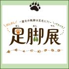 動物情報館ZooLab 展示「―進化の軌跡は足元に⁈―＼のしのし／＼ペタペタ／足脚展」