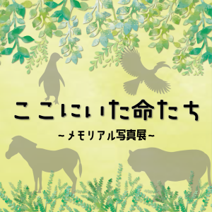 ここにいた命たちメモリアル展示サムネイル画像