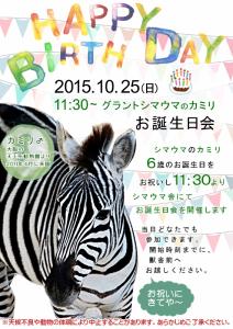 10月25日（日）11：30～　グラントシマウマの「カミリ」お誕生日会