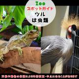 4月20日はツルと、は虫類