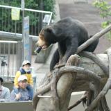 「節分企画」。恵方巻や福豆を動物たちに！