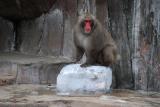 8月29日(土)「夜の動植物園」スポットガイド