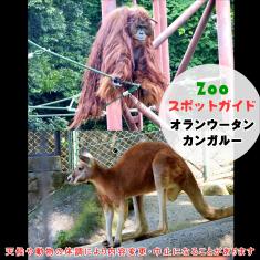 アジアゾウとフンボルトペンギン