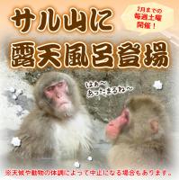 サル山に露天風呂が登場します！2月末まで毎週土曜に開催！