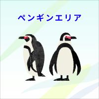 ペンギンエリアのメンテナンスを行います