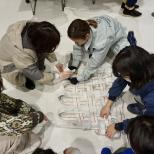 【参加者募集】12月6日（土）、7日（日） 「拡大版QOL向上委員会 ～動物の生活を豊かに～」開催（11月10日締切）