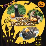 『動物園もハロウィン！』開催！動物たちに特製”お化けカボチャ”をプレゼント！