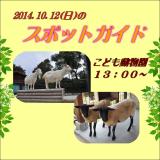 2014年10月12日(日)のスポットガイド
