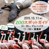 2015年10月11日(日)のスポットガイド