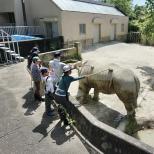 【参加者募集】7/26（土）、7/30（水） 「動物園サマースクール」開催（6/27締切）