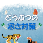 動物情報館ZooLab「どうしているのかな?どうぶつたちの寒さ対策」