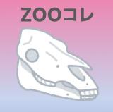 動物情報館ZooLab「Zooコレ～福岡市動物園収蔵 コレクション～」