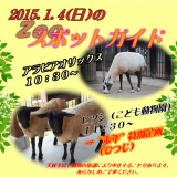 2015年1月4日(日)のスポットガイド