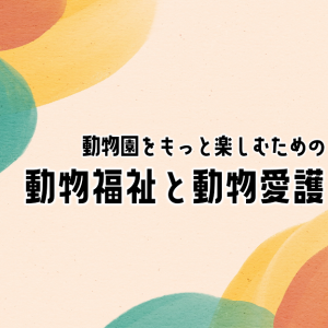 動物園をもっと楽しむための動物福祉と動物愛護サムネイル画像