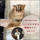 シマヤマネコ飼育30周年記念　特別ガイド