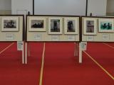 夏休み企画第2弾「hamada動物写真展」開催します