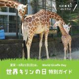 「世界キリンの日」特別ガイド