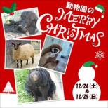 動物園のクリスマスを開催！