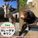 3月16日はマレーグマとキリン