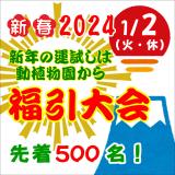 「新春福引大会」を開催します！