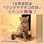 「ツシマヤマネコの日」イベントを開催します