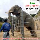 （4/24追記）4月26日はアジアゾウ