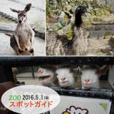 2016年5月1日(日)のスポットガイド