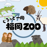 【雨天のため中止】動物情報館ZooLab「ぐるっと一周福岡ZOO」