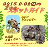 2015年2月22日(日)のスポットガイド
