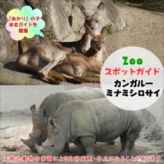 飼育員によるZOOスポットガイド。 当園に暮らす動物たちのお話を中心に、生態やエサについて担当飼育員が楽しくご紹介します。