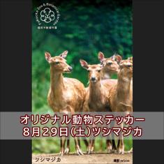 ツシマジカのステッカー