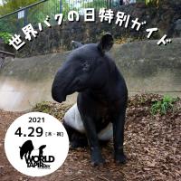 「世界バクの日」特別ガイドを開催します