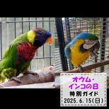 「オウム・インコの日」特別ガイドを開催します