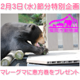 節分特別企画。恵方巻や福豆を動物たちに！(2/3)