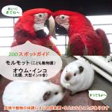 12/3はモルモットとオウム・インコ♪