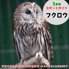 飼育員によるZOOスポットガイド。 当園に暮らす動物たちのお話を中心に、生態やエサについて担当飼育員が楽しくご紹介します。