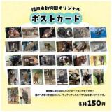 園内ショップで新商品を販売します♪