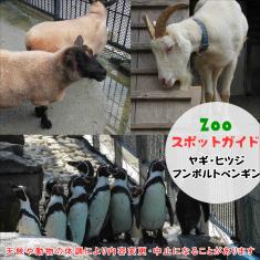 飼育員によるZOOスポットガイド。 当園に暮らす動物たちのお話を中心に、生態やエサについて担当飼育員が楽しくご紹介します。