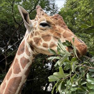 動物サポーター限定企画＜バックヤードガイド＞