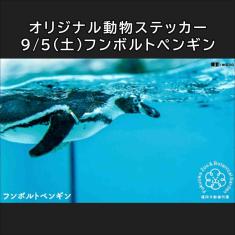 フンボルトペンギンのステッカー